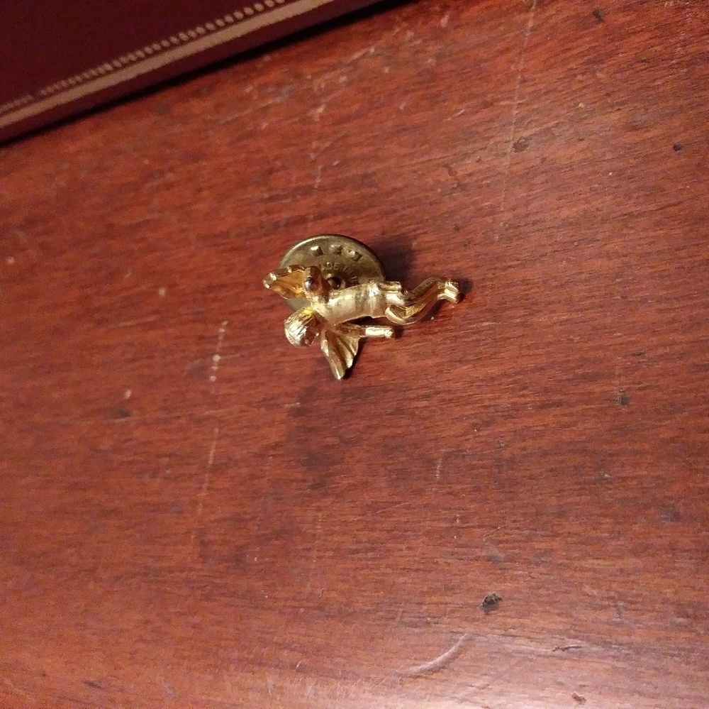 Guardian angel pin
